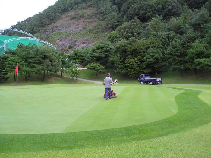 그린모어(그린 잔디깎는) 장비 관리 항목 10가지