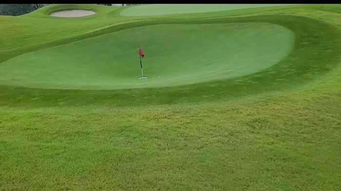 골프장 차별화 서비스 사례 10가지