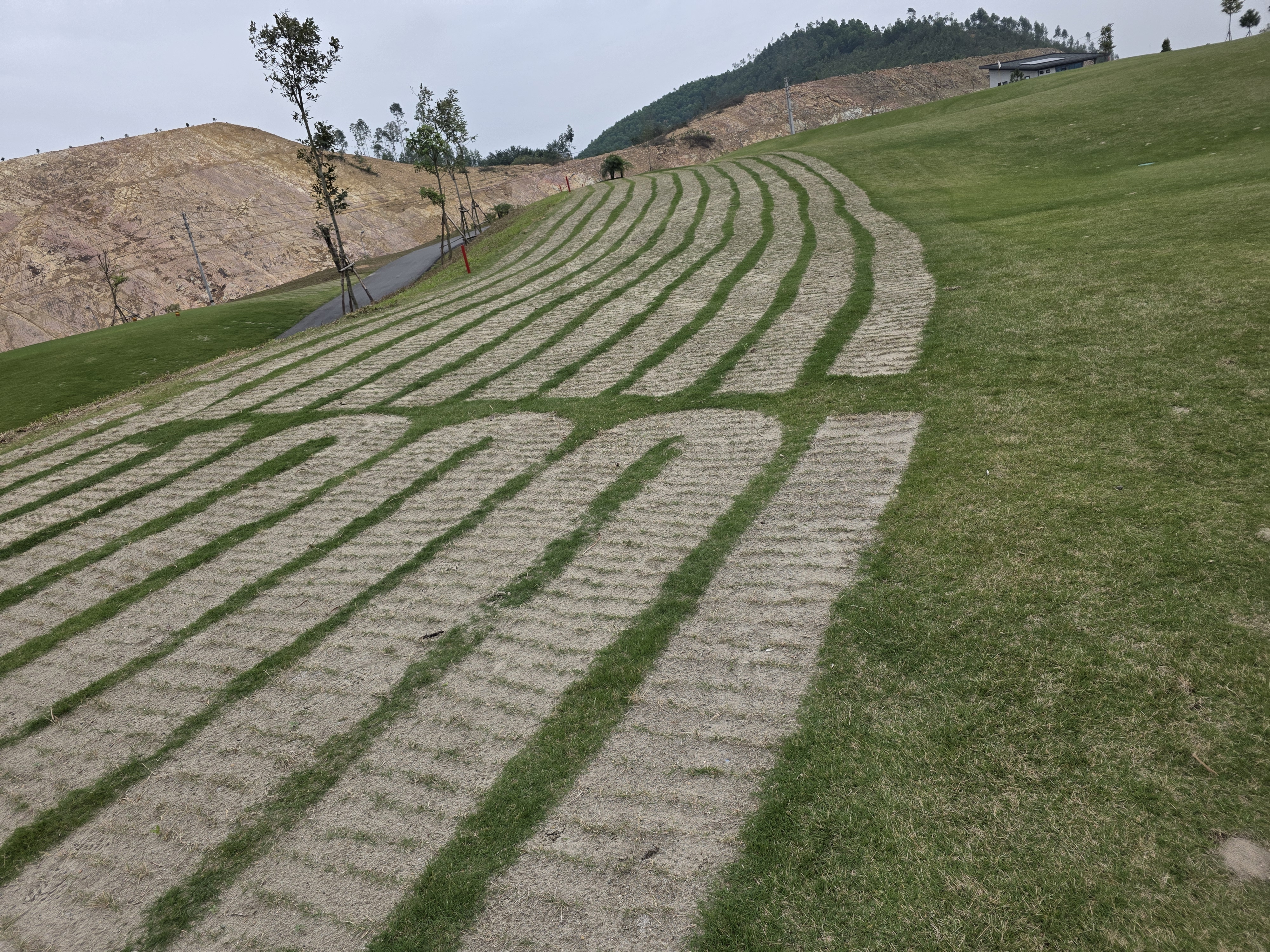 잔디가 자라는데 필요한 4대 조건