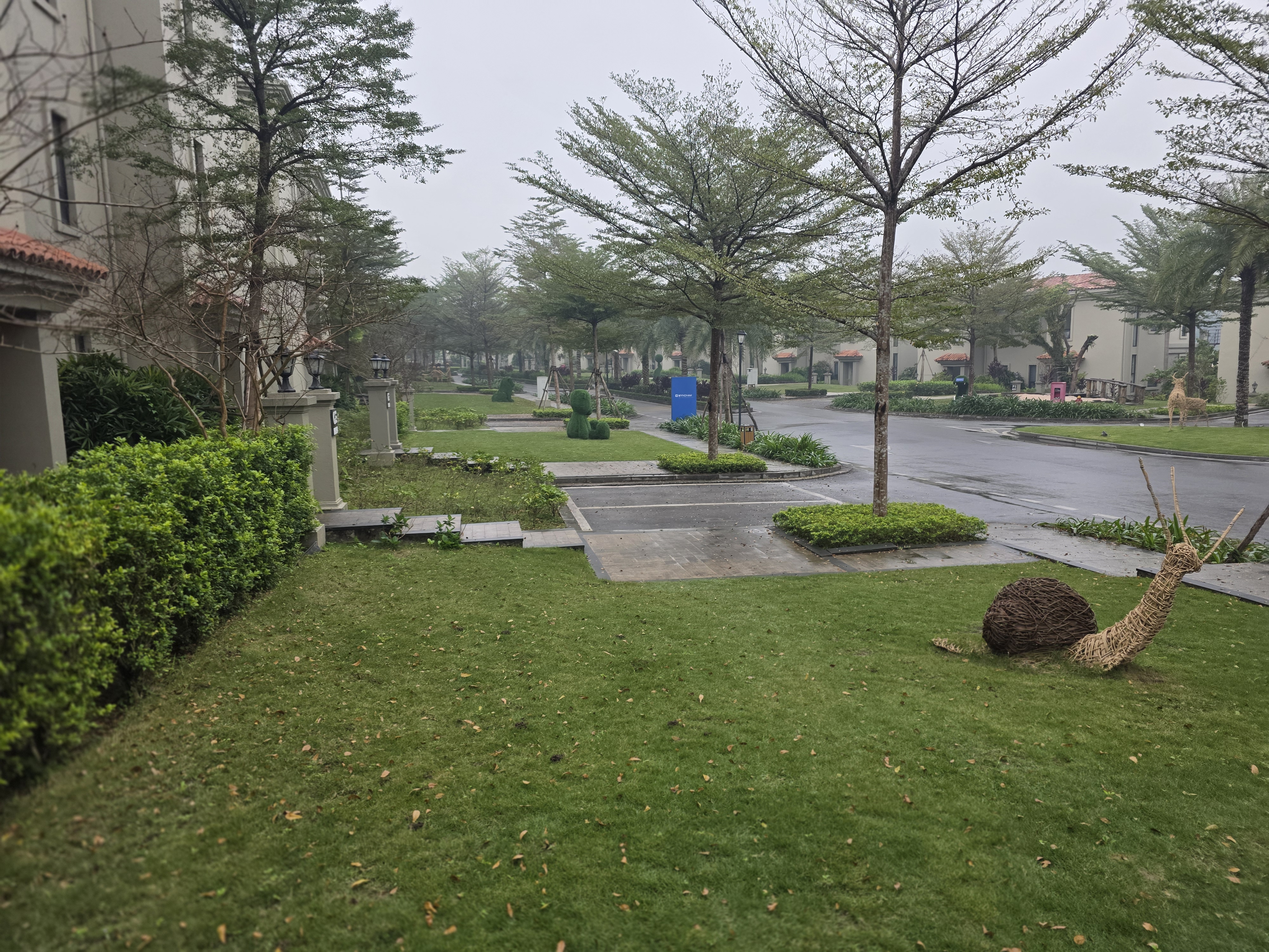 수목 식재 후 하자 원인 10가지