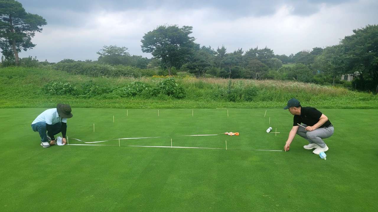 에코원샷 프로와 플러스가 크리핑 벤트그래스의 잔디 생육에 미치는 영향 연구