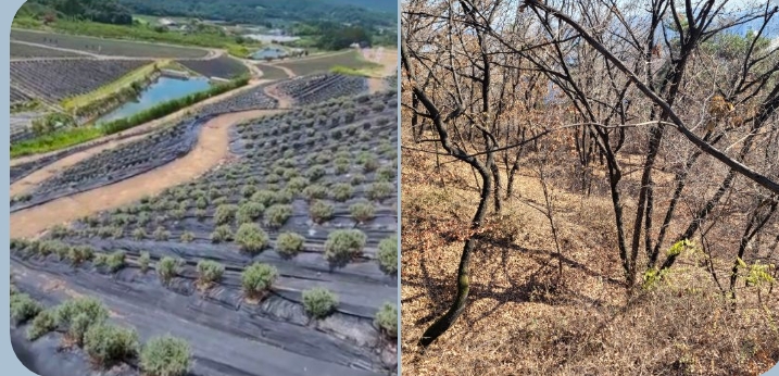 골프장 부지 선정 시 주요 체크 리스트