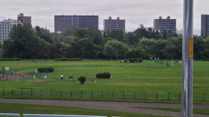 파크골프 vs 골프 주요 차이점 10가지