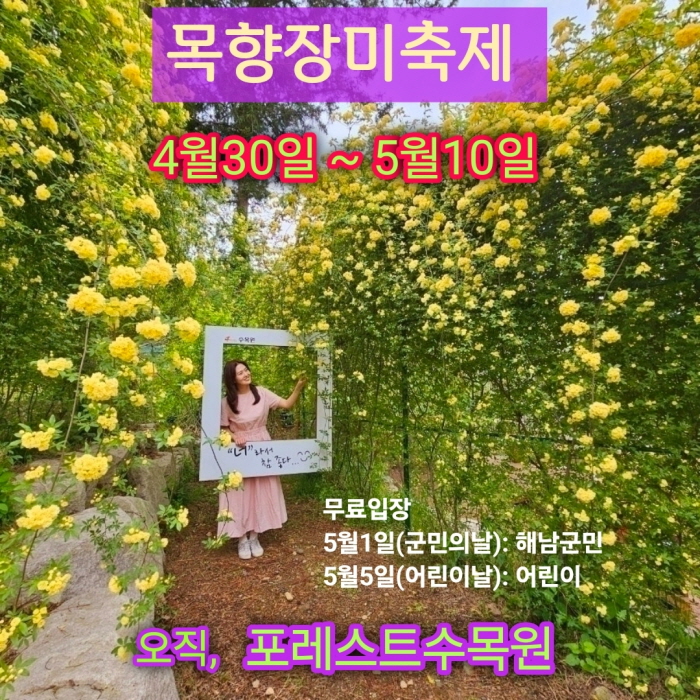 “성공의 8할은 인내, 숲에서의 ‘멍’은 여유”... 해남 ‘포레스트 수목원’의 특별한 초대